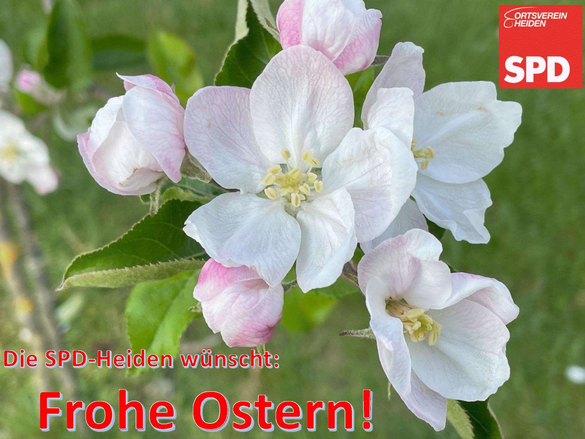 Ostern 2025 p1
