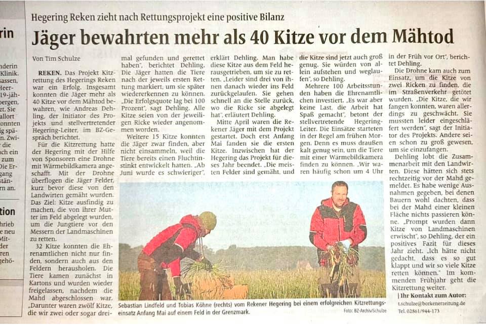 rehkitze_BZ_reken.jpg